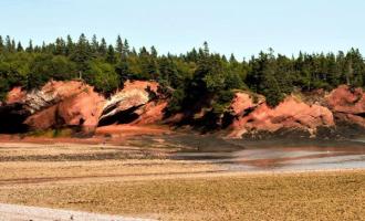 Fundy Coast to Shore Tour
