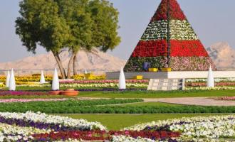 Al Ain Garden City Tour