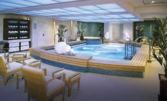 Wellness Wellness