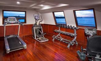 Wellness Wellness