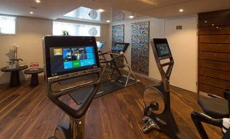Wellness Wellness