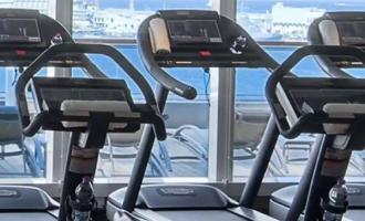 Wellness Wellness