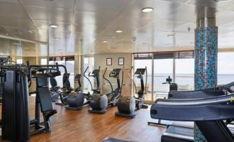 Wellness Wellness