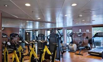 Wellness Wellness