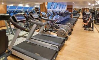 Wellness Wellness