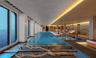 Wellness Wellness